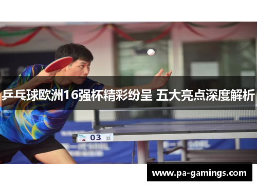 乒乓球欧洲16强杯精彩纷呈 五大亮点深度解析