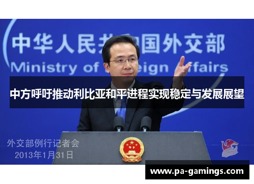 中方呼吁推动利比亚和平进程实现稳定与发展展望