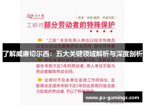 了解威廉切尔西：五大关键领域解析与深度剖析
