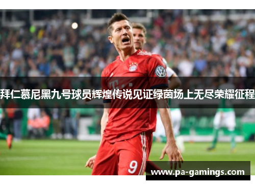 拜仁慕尼黑九号球员辉煌传说见证绿茵场上无尽荣耀征程