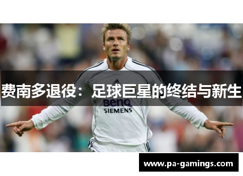 费南多退役：足球巨星的终结与新生