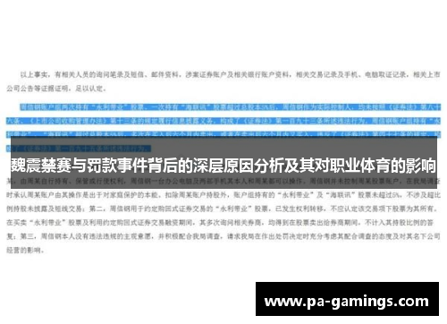 魏震禁赛与罚款事件背后的深层原因分析及其对职业体育的影响