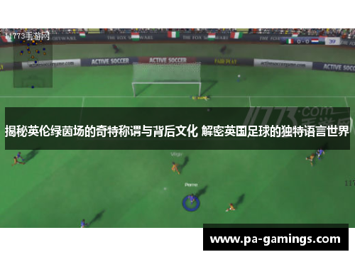 揭秘英伦绿茵场的奇特称谓与背后文化 解密英国足球的独特语言世界